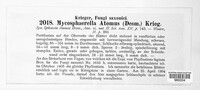 Mycosphaerella atomus image